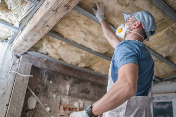 Best Professional Insulation Contractor  in Biglerville, PA